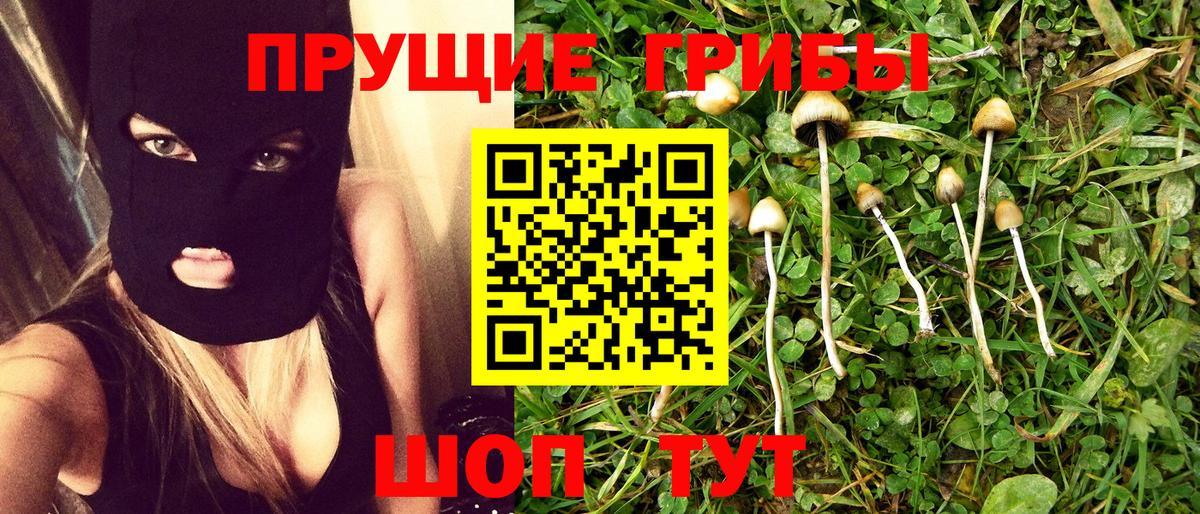 Псилоцибиновые грибы Magic Shrooms Биробиджан